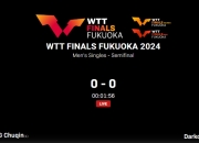 🏓WTT总决赛男单半决赛：王楚钦4-1轻取达科，决赛将战张本智和