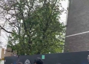 狂热鞋迷！帕尔默赛后冲出球场，真正目的竟然是一双鞋？