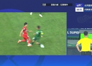 记者：上轮比赛山东那张是红牌，张稀哲这张也没话说
