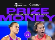 🎾今日上演两场网球顶级决赛！郑钦文武网挑战萨巴伦卡 德约冲击生涯100冠
